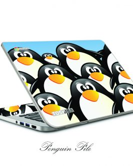 Toshiba ChromeBook CB35-A3120 13.3″