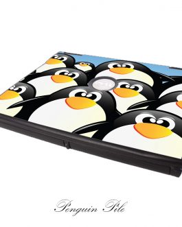 Dell Latitude C540 – C640